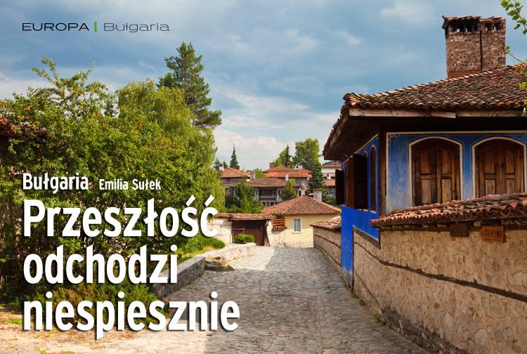 Losowy darmowy artykuł